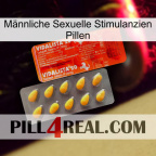 Männliche Sexuelle Stimulanzien Pillen new01